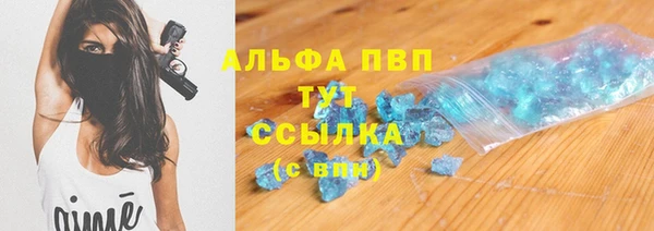 гашик Арсеньев