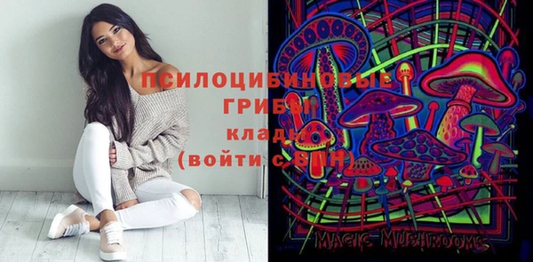 шишки Протвино